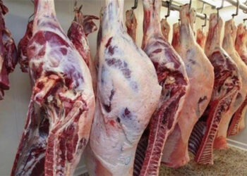 أسعار اللحوم الحمراء اليوم الأحد