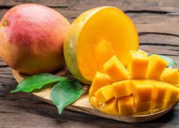 أسعار المانجا في سوق العبور اليوم.. تعرف على قائمة الأنواع والتفاصيل