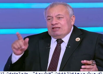 “حماة الوطن” : الحزب في حالة انعقاد دائم استعدادًا للاستحقاقات الدستورية