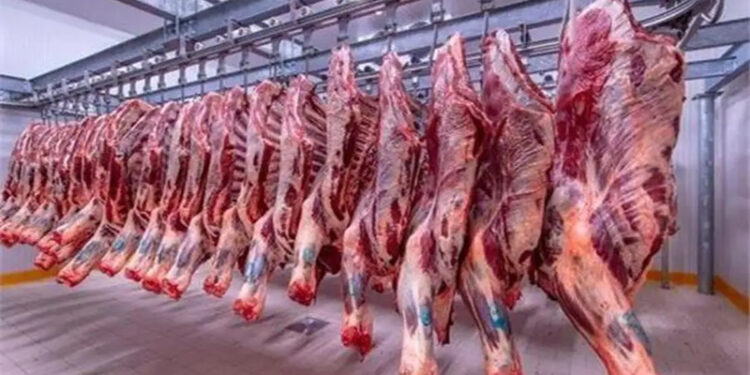 أسعار اللحوم الحمراء اليوم السبت