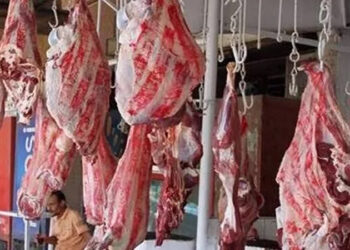 أسعار اللحوم الحمراء اليوم الاربعاء