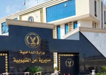 مصرع 5 عناصر إجرامية بالقليوبية في تبادل إطلاق نار مع الشرطة