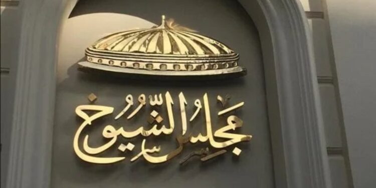 فوز القائمة الوطنية من أجل مصر.,, إعادة انتخابات الشيوخ 2025 في 5 محافظات