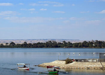 “جهاز حماية وتنمية البحيرات” يطلق الدفعة الثالثة من يرقات الجمبري في بحيرة قارون ـ الفيوم