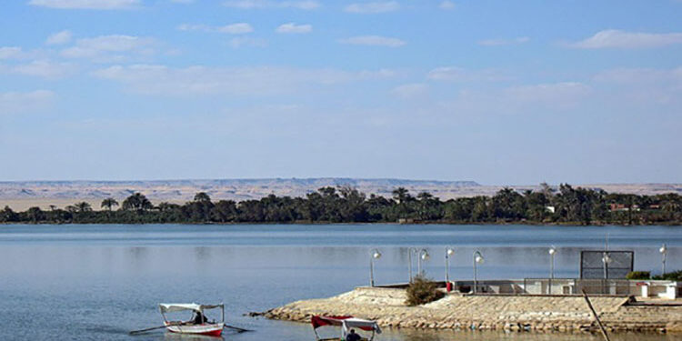 “جهاز حماية وتنمية البحيرات” يطلق الدفعة الثالثة من يرقات الجمبري في بحيرة قارون ـ الفيوم