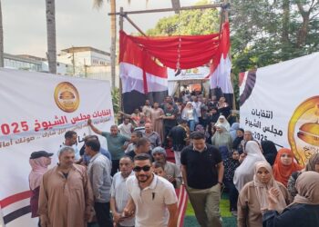 17.1 % نسبة المشاركة في انتخابات “الشيوخ” وهى الأعلى في تاريخ المجلس