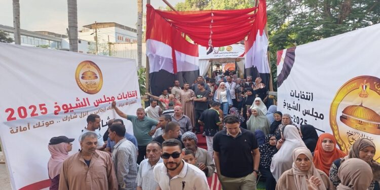 17.1 % نسبة المشاركة في انتخابات “الشيوخ” وهى الأعلى في تاريخ المجلس