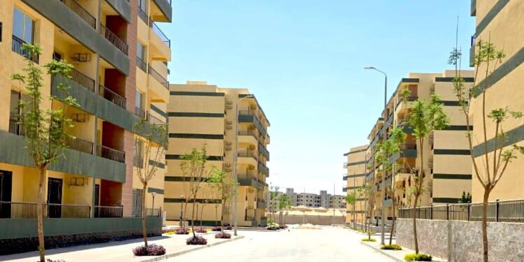 جهاز مدينة 6 أكتوبر يواصل أعمال الزراعة والتجميل بمشروع “صبا” السكني بالتوسعات الشمالية