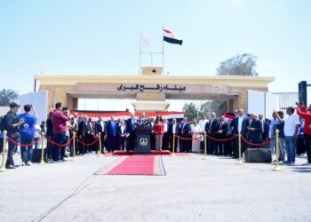 وزير الخارجية: الجهود المصرية مستمرة بتوجيهات الرئيس السيسي لوقف العدوان على غزة