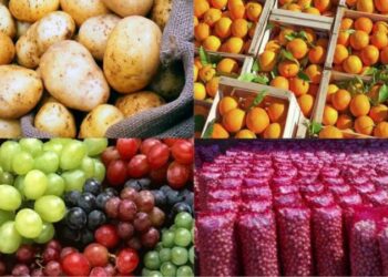 وزير الزراعة: الصادرات الزراعية المصرية تحقق 6.8 مليون طن حتى الآن