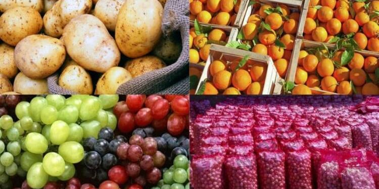 وزير الزراعة: الصادرات الزراعية المصرية تحقق 6.8 مليون طن حتى الآن