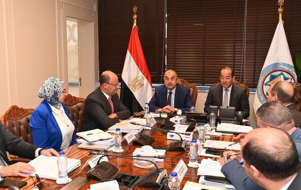 وزيرا قطاع الأعمال العام والمالية يبحثان تعزيز التعاون في عدد من الملفات المشتركة