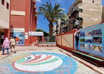 استعدادات مكثفة في بورسعيد لانطلاق انتخابات مجلس الشيوخ