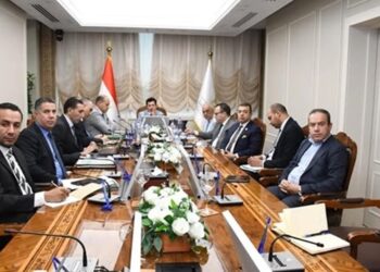 الشباب والرياضة تستعد لإصدار القرار التنفيذي لأندية الشركات والمصانع