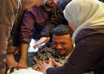 وزير الزراعة: يجب توحيد الجهود العربية لمواجهة تحديات الأمن الغذائي والمائي