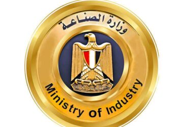 الصناعة تنفي ما تم تداوله بشأن إلغاء “بروتوكول الشحن الصيني” الخاص بالسيارات الكهربائية