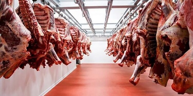 أسعار اللحوم الحمراء اليوم الاربعاء