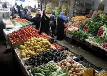 أسعار الخضروات في مصر اليوم الاربعاء