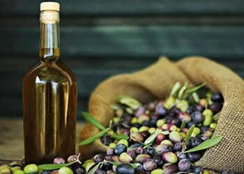 زيت الزيتون.. الذهب السائل يحمي صحتك ويعزز جمالك