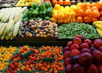 أسعار الخضروات في مصر اليوم الإثنين