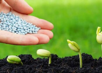 زيادات جديدة وصادرات تقترب من 8.5 مليار دولار في 2025.. أسعار الأسمدة اليوم السبت 27 سبتمبر 