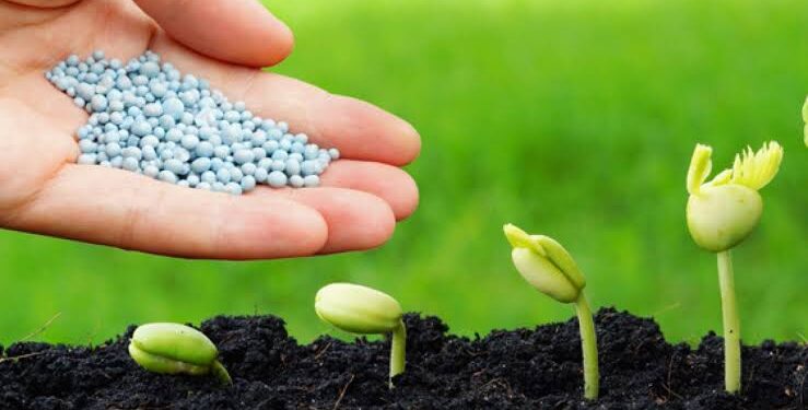 زيادات جديدة وصادرات تقترب من 8.5 مليار دولار في 2025.. أسعار الأسمدة اليوم السبت 27 سبتمبر