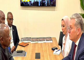 جلسة مباحثات بين مصر ونيجيريا لزيادة الاستثمارات المشتركة في الطاقة