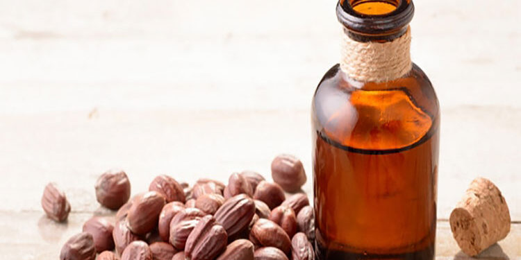 ماذا يحدث عند استخدام زيت الجوجوبا للبشرة والشعر