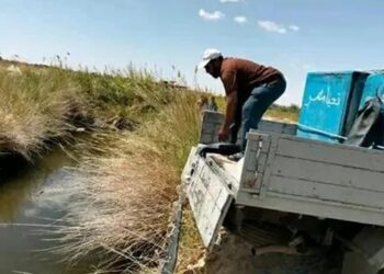 جهاز حماية وتنمية البحيرات والثروة السمكية يدعم واحة سيوة بمليون ذريعة سمكية