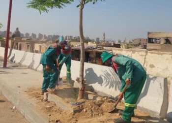 وزيرة التنمية المحلية  تابع الموقف التنفيذي للمرحلة الرابعة من المبادرة الرئاسية ” 100 مليون شجرة “