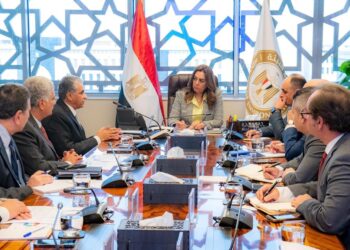 وزيرة التنمية تبحث مع المدير التنفيذي لمركز البيئة والتنمية للمنطقة العربية وأوروبا(سيداري) التعاون المشترك