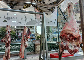 أسعار اللحوم في مصر اليوم الاربعاء