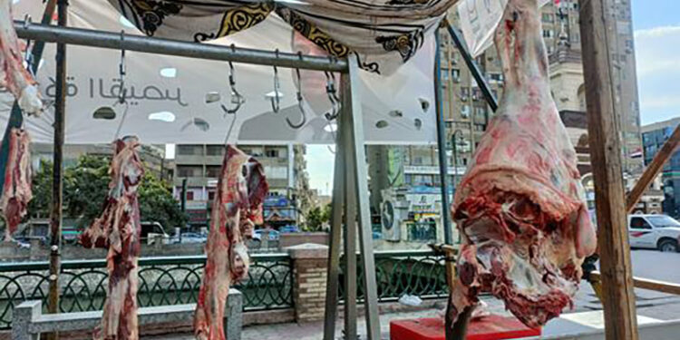 أسعار اللحوم في مصر اليوم الاربعاء