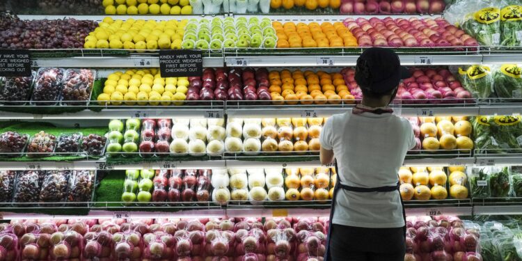 رغم ارتفاع اللحوم إلى مستويات قياسية.. أسعار الغذاء العالمية تتراجع في سبتمبر 2025