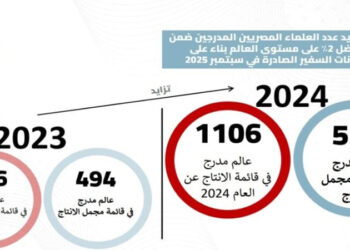 التعليم العالي: إدراج 1106 عالمًا مصريًا في قائمة ستانفورد