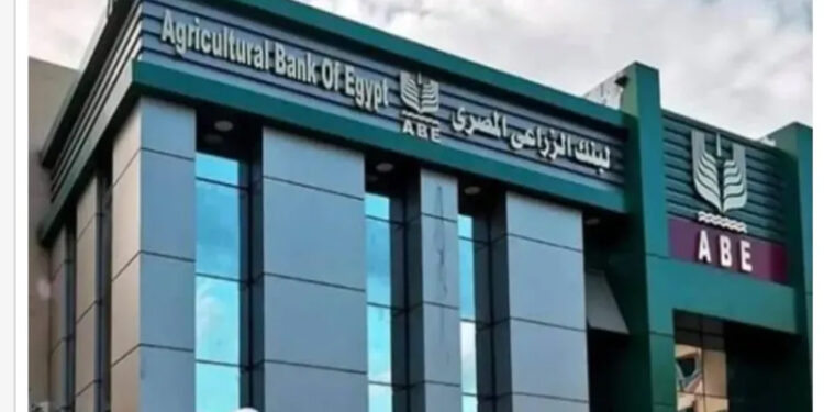 وظائف البنك الزراعي المصري 2025 للخريجين الجدد