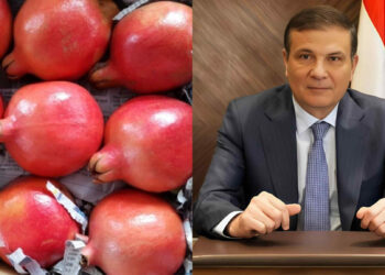 وزير الزراعة يعلن رسميًا فتح السوق الفنزويلي أمام صادرات مصر من الرمان الطازج