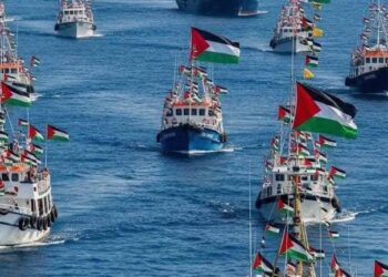 وزير خارجية أيرلندا: مهمة أسطول الصمود سلمية وتهدف لكشف الكارثة الإنسانية في غزة