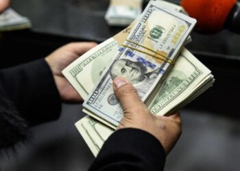 47.2. % ارتفاع في تحويلات المصريين بالخارج خلال عام 2025