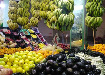 أسعار الخضروات والفاكهة في مصر اليوم الإثنين