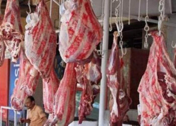 أسعار اللحوم في مصر اليوم الإثنين