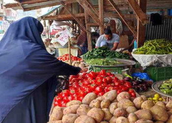 أسعار الخضروات والفاكهة في مصر اليوم الاربعاء
