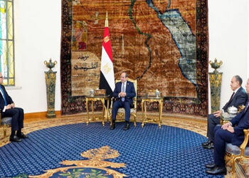 الرئيس السيسي يستقبل الدكتور خالد العناني