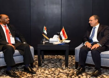 وزير الخارجية يلتقي نظيره السودانى على هامش منتدى أسوان للسلام والتنمية المستدامة