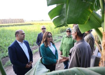 وزيرة التنمية والقائم بأعمال وزير البيئة في جولة مفاجئة لمنظومة جمع قش الأرز بالدقهلية والقليوبية