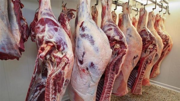أسعار اللحوم في مصر اليوم الثلاثاء