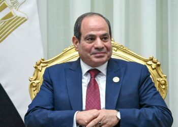 الرئيس السيسي: مؤتمر دولي لإعمار غزة في نوفمبر.. وأدعو المصريين للمساهمة