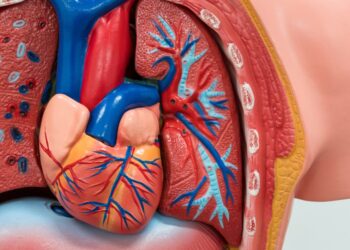 أسباب وأعراض ضعف عضلة القلب؟