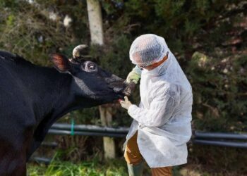 “الزراعة” تُحدّث بيانات الوضع الوبائي لمصر في نظام الصحة الحيوانية العالمي