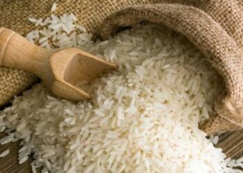 مصر تستضيف منتدى الأرز الأفريقي الثلاثاء المقبل